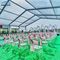 چادرهای آلومینیومی چادر عروسی بزرگ در فضای باز مدرن 300 فعالیت صندلی